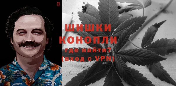 крисы Белоозёрский