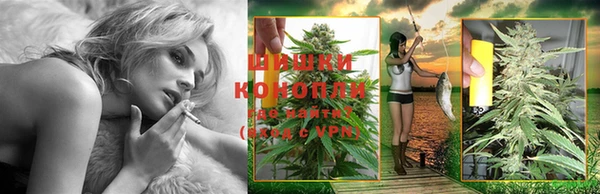 дмт Белокуриха