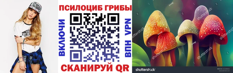 Псилоцибиновые грибы GOLDEN TEACHER Нелидово