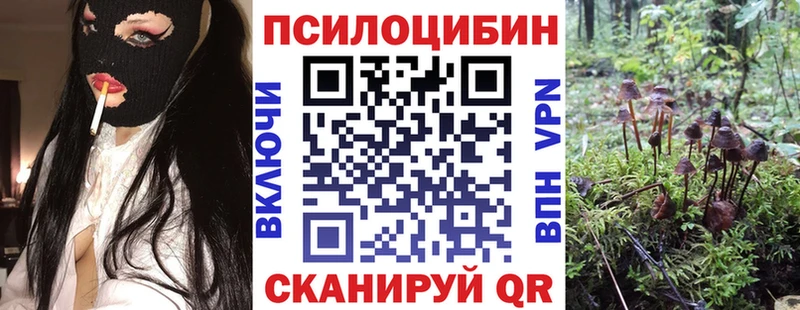 хочу   Нелидово  Галлюциногенные грибы MAGIC MUSHROOMS 
